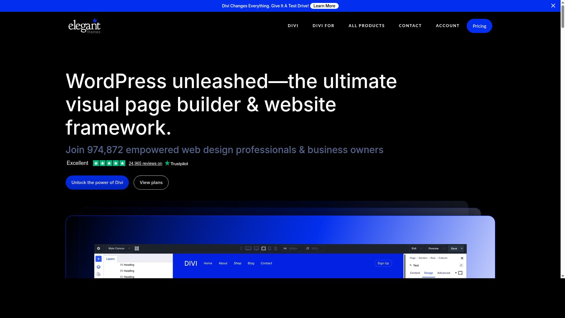 Divi AI website